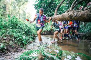 BIB: 
                            <button type="button" onclick="openModal(25470769)" class="btn btn-primary btn-sm float-right btn-popup" data-toggle="modal" data-target=".modal-high-quality">
                        <i class="fas fa-shopping-cart"></i> Add to Cart
                    </button>
                                            <button type="button" onclick="isThisMe(25470769, true)" class="btn btn-success btn-sm float-right btn-popup btn-isme hidden" data-toggle="tooltip" data-placement="bottom" title="นี่คือรูปของคุณใช่ไหม คลิกที่นี่เพื่อเอาเข้าอัลบั้ม">
                        <i class="fas fa-plus"></i> Add to album
                    </button>
                    <button type="button" onclick="isThisMe(25470769, false)" class="btn btn-warning btn-sm float-right btn-popup btn-isnotme hidden">
                        <i class="fas fa-ban"></i> Remove from album
                    </button>